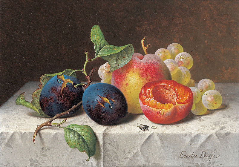 Still Life of Fruit